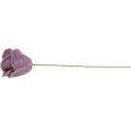 Floristik24 Rose artificiali rose di cera lilla rose deco cera Ø6cm 18 pezzi