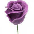 Floristik24 Rose artificiali rose viola cera rose decorative cera Ø6cm 18p