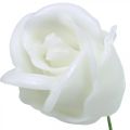 Floristik24 Rose artificiali rose di cera bianca rose decorative cera Ø6cm 18 pezzi