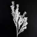 Floristik24 Ramo artificiale decorativo ghiacciato decorazione invernale bianco 78 cm 2 pezzi