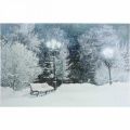 Floristik24 Quadro LED Natale paesaggio invernale con panchina Murale LED 58x38cm