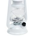 Floristik24 Lanterna LED dimmerabile bianco caldo 24,5 cm con 15 lampade