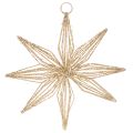 Floristik24 Stella decorativa a LED in filo metallico, da appendere, 20 LED, luce bianca calda, per interni, 22 cm