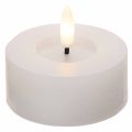 Candele LED XL Tealight, cera vera, bianco caldo, con timer, 6 cm, 2 pezzi | Floristik24.it