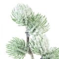 Floristik24 Ramo di larice artificiale ramo decorativo verde con neve L25cm