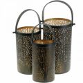 Floristik24 Lanterna in metallo, lanterna con albero, decorazione autunnale, nera, dorata Ø20 / 19 / 14cm H23,5/17 / 12,5cm