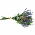 Floristik24 Fagotto di erbe aromatiche lavanda, rosmarino, cardo 40 cm
