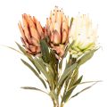 Fiore artificiale di Protea