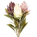 Floristik24 Protea, fiore artificiale Leucadendron, 100 cm, 3 pezzi