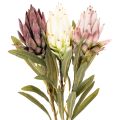 Protea, fiore artificiale