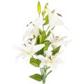 Floristik24 Gigli artificiali, 6 fiori bianchi, ramo fiorito realistico, 66 cm