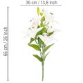 Gigli artificiali, 6 fiori bianchi, ramo fiorito realistico, 66 cm | Floristik24.it