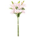 Giglio artificiale, fiore a