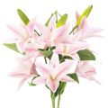 Giglio artificiale, fiore a