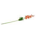 Floristik24 Salmone Lily 87,5 cm