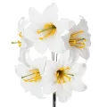 Floristik24 Giglio artificiale, bianco, su filo, misura media, 35 cm, 5 pezzi