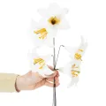 Giglio artificiale, bianco, su filo, misura media, 35 cm, 5 pezzi | Floristik24.it