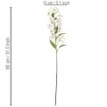 Giglio bianco artificiale con lungo ramo fiorito, decorativo, 80 cm | Floristik24.it