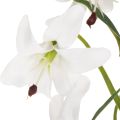 Giglio bianco artificiale con lungo ramo fiorito, decorativo, 80 cm | Floristik24.it