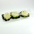 Floristik24 Fiore di loto galleggiante 18 cm bianco 3 pezzi