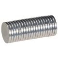 Floristik24 Dischetti magnetici rotondi per portacandele e vassoi in metallo, 1 cm, 20 pezzi