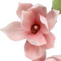 Floristik24 Magnolia artificiale rosa chiaro 70cm