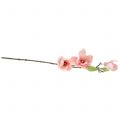 Floristik24 Magnolia artificiale rosa chiaro 70cm