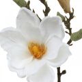 Floristik24 Fiore artificiale di magnolia bianco con boccioli su ramo decorativo H40cm