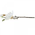 Floristik24 Fiore artificiale di magnolia bianco con boccioli su ramo decorativo H40cm