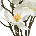 Floristik24 Rami di magnolia artificiale ramo decorativo bianco H40cm 4 pezzi in mazzetto