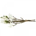 Floristik24 Rami di magnolia artificiale ramo decorativo bianco H40cm 4 pezzi in mazzetto