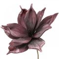 Floristik24 Fiore artificiale magnolia viola schiuma fiore Ø10cm 6pz