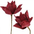 Floristik24 Magnolia artificiale fiore artificiale rosso schiuma decorazione floreale Ø10cm 6pz