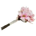 Floristik24 Mazzo di magnolia rosa 40 cm 5 pezzi