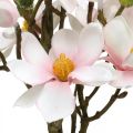Floristik24 Rami di magnolia artificiale Fiori artificiali rosa H40cm 4 pezzi in mazzetto