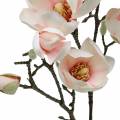 Floristik24 Ramo di magnolia Fiori di seta di magnolia artificiale rosa