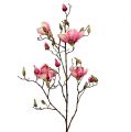 Floristik24 Ramo di magnolia viola 110 cm 1p