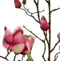 Floristik24 Ramo di magnolia viola 110 cm 1p