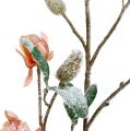 Floristik24 Ramo di magnolia rosa chiaro L 82 cm
