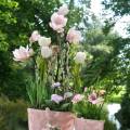 Floristik24 Ramo di magnolia Fiori di seta di magnolia artificiale rosa