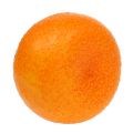 Floristik24 Mandarino Ø7cm arancio