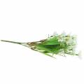 Floristik24 Bouquet di margherite con erba decorativa 37cm