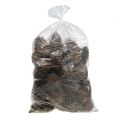 Coni Maritima 14/18 naturali 25 pz | Floristik24.it