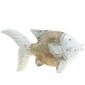 Floristik24 Decorazione marittima pesce legno pesce legno shabby chic 28×15cm