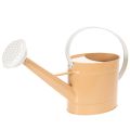 Floristik24 Annaffiatoio decorativo in metallo, look vintage, marrone chiaro, 52,5 cm - vaso per decorazione da tavolo e decorazione estiva