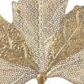Floristik24 Portacandele in foglia d&#39;acero con decorazione da parete in metallo dorato antico 42 cm × 39 cm