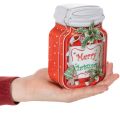 Scatola per biscotti in metallo con motivo natalizio, design a barattolo, 15 cm, 2 pezzi | Floristik24.it
