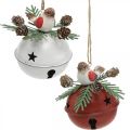 Floristik24 Campane con pettirossi, decorazioni per uccelli, inverno, campane decorative per Natale bianco / rosso Ø9cm H10cm set di 2