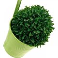 Floristik24 Vaso per piante da appendere, decorazione balcone, vaso da fiori verde Ø13,5cm