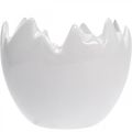 Floristik24 Mini vaso per piante guscio d&#39;uovo bianco Ø8cm H7cm 4pz
